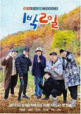 草比视频综艺数据观察配图